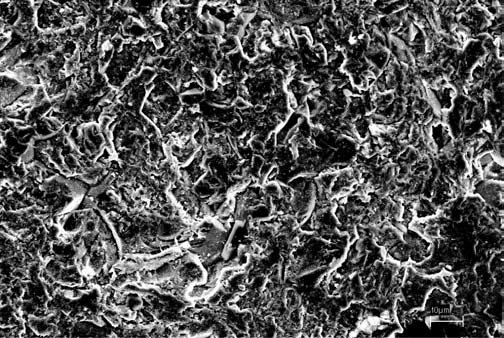 intergranular phases (dark regions) grains characterized by platelets.] Figura 3: Fotomicrografia obtida por MEV da superfície do nitreto de alumínio com 20% de Y 2.