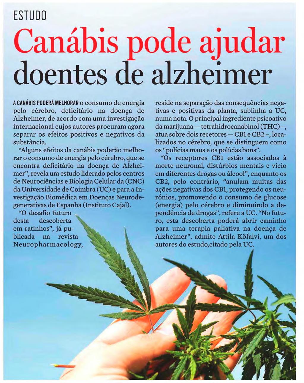 Celular da (CNC) da Universidade de Coimbra (UC) e para a Investigação Biomédica em Doenças Neurodegenerativas de Espanha (Instituto Cajal).