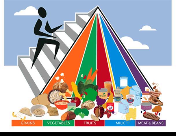 Pirâmide Alimentar 3 porções ou mais de frutas 1 porção de alimentos do grupo dos óleos e gorduras 1 porção de feijão 3 porções de leite e derivados 6 porções do grupo do arroz, pães, massas,