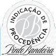 Aurora Bento Gonçalves Chardonnay 2015 Pinto Bandeira IP - R$ 80,00 Bertolini- Vale dos