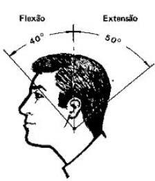 reduzido podem causar tendência de extensão da cabeça, ao passo que as situações contrárias podem causar tendência de flexão. Figura 4 - Flexão e Extensão da Cabeça. Martins, T. M. B. de B.