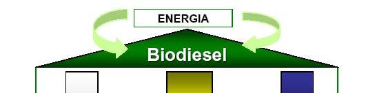 BIODIESEL