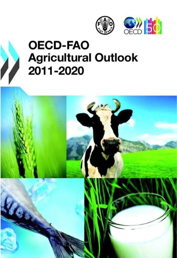 OECD-FAO Agricultural Outlook 2011-2020 Projeções - MUNDO Crescente demanda mundial por alimentos induzirá aumento da produção; Além da demanda por