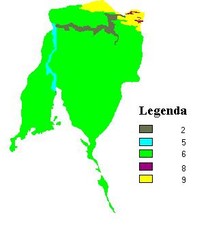 5 - COBERTURA VEGETAL (V) Cobertura vegetal carga Litorânea 9 Vegetação de Tabuleiro 5 Mata ciliar 6 Mangue 6 PLANOS DE