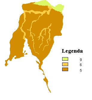 Figura 5 - Fatores de carga da cobertura vegetal DISCUSSÃO SOBRE AS ZONAS DE VULNERABILIDADE E CONCLUSÕES Com base no já exposto, foi gerado o mapa do índice DRASTIC (Figura 6).