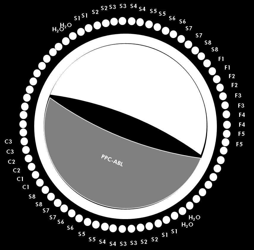 Figura 3: Configuração sugerida para rotor para cada ensaio com o kit ipsogen PML- RARA bcr1. F1 5: Padrões PML-RARA bcr1; C1 3: Padrões ABL; S: Amostra de ADNc; H 2 O: controlo de água.