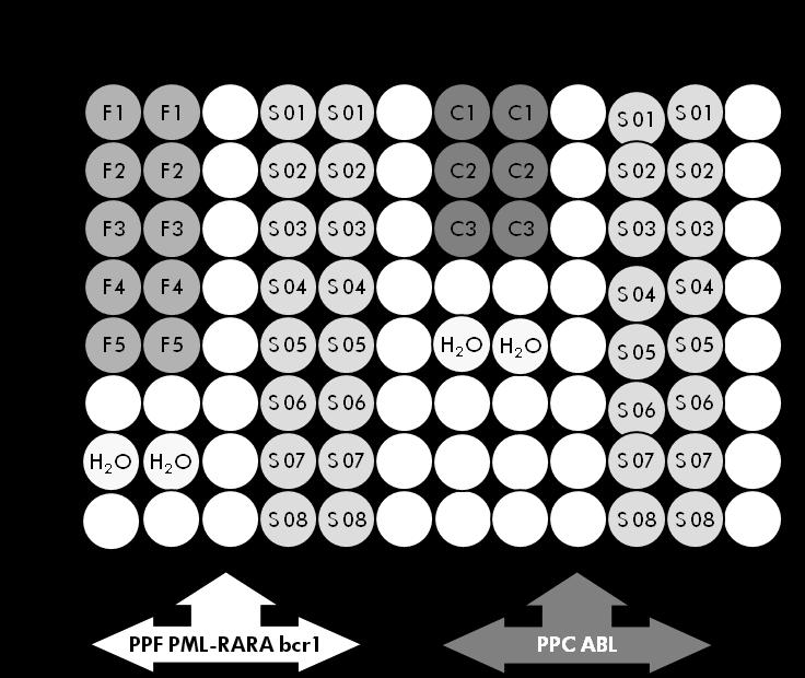 Figura 4: Configuração da placa sugerida para um ensaio. S: Amostra de ADNc; F1 5: Padrões PML-RARA bcr1; C1 3: Padrões ABL; H 2 O: controlo de água.