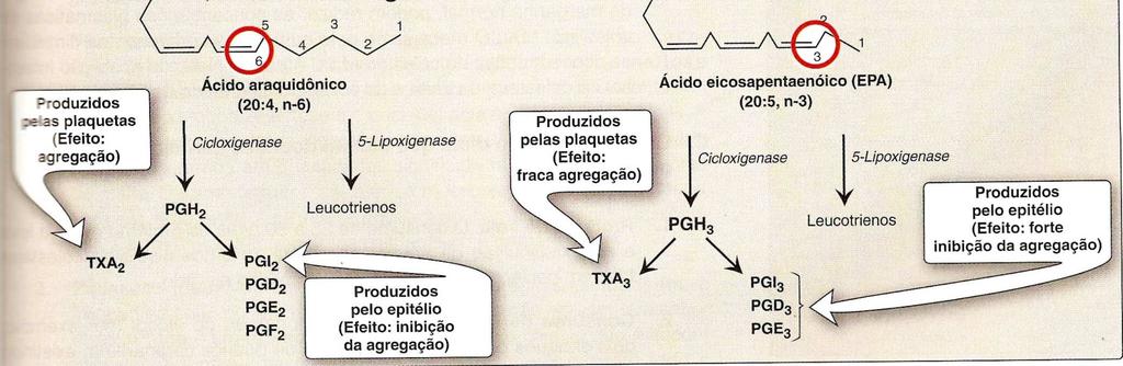 Ácido linoléico - elongado e dessaturado forma o ácido araquidônico: precursor imediato da classe predominante de prostaglandinas em humanos Aumento no consumo de ω3 EPA e DHA ocasiona inibição da