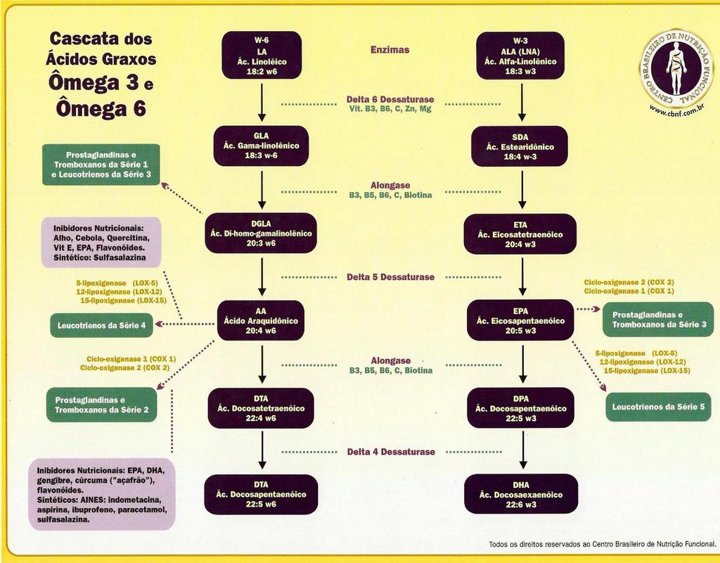 AI (ingestão adequada) Ácido linoléico: 4,44 g/dia (2% do total de energia Ácido linolênico; 2,22g/dia (1% do total de energia EPA + DHA: 0,65 g/d (0,3% do total de energia International Society for