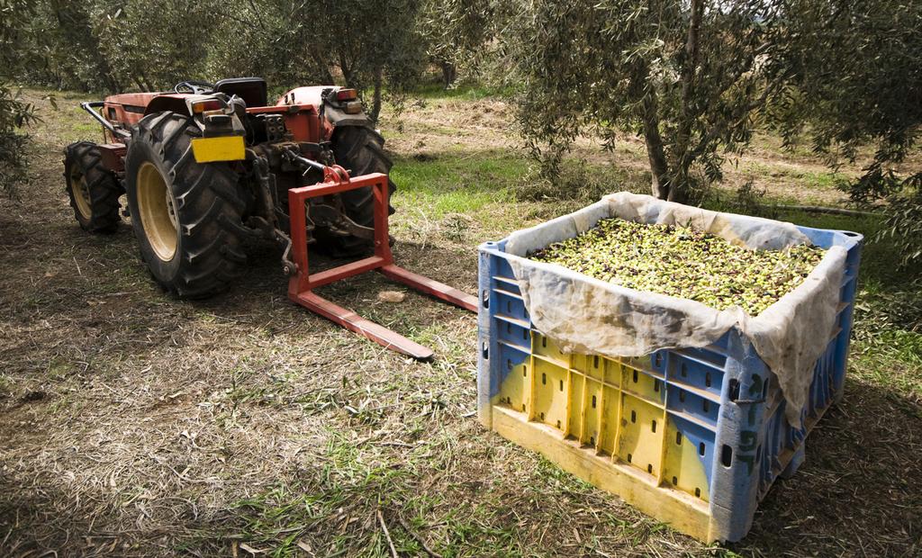 Graças à possibilidade de realizar análises rápidas pode-se facilitar aos produtores informação muito útil, e assegurar-lhes um pagamento justo.