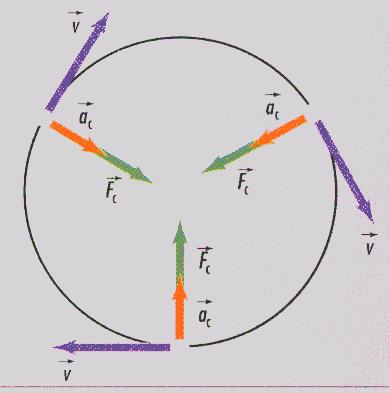 7 O movimento iula unifome, é um movimento em que o módulo da veloidade do opo é onstante, mas a dieção da veloidade muda ao longo do tempo, tendo uma