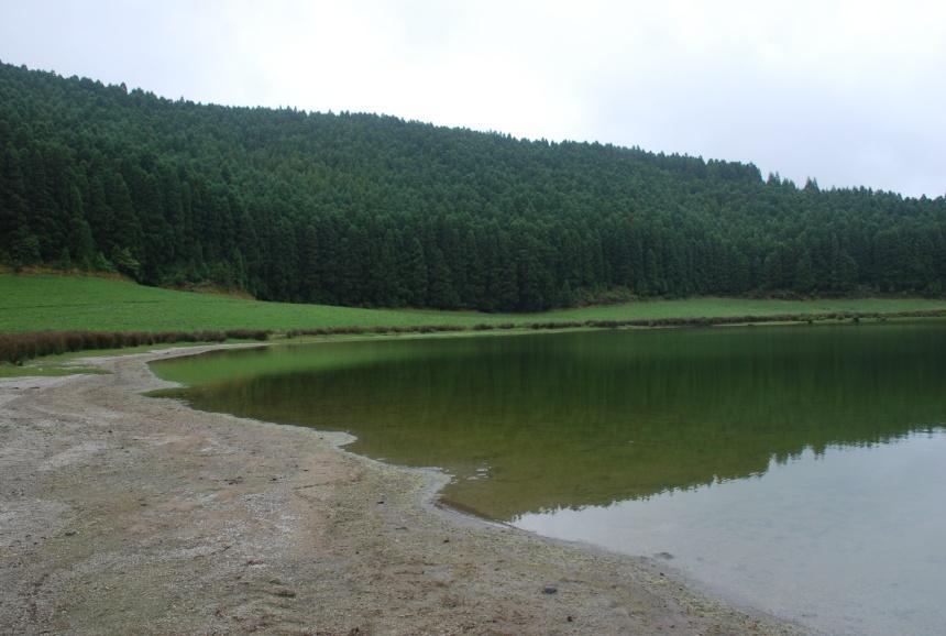 Figura 27 Proteção na eutrofização da lagoa de S. Brás, S. Miguel. A produção de madeira de Cryptomeria japonica D.