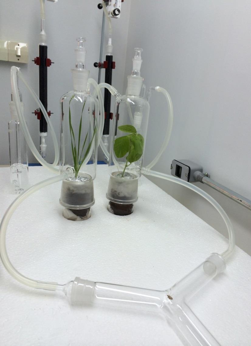 tubo principal. O fluxo de ar utilizado foi de 0,8 L/min, controlado por fluxômetros acoplados às extremidades da entrada de ar.