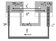 Figura 56-Pilha de Daniel aberta. Na pilha aberta, o campo eletrostático em módulo é igual ao campo elétrico motor.
