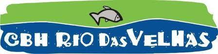 Bacia do Rio das Velhas - Repasse Média de 1123 usuários cobrados ANO REPASSADO