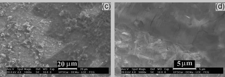 O eletrodepósito de prata-zinco obtido em solução de EDTA 1,0 10-2 mol L -1 é não dendrítico e apresenta uma superfície relativamente lisa.