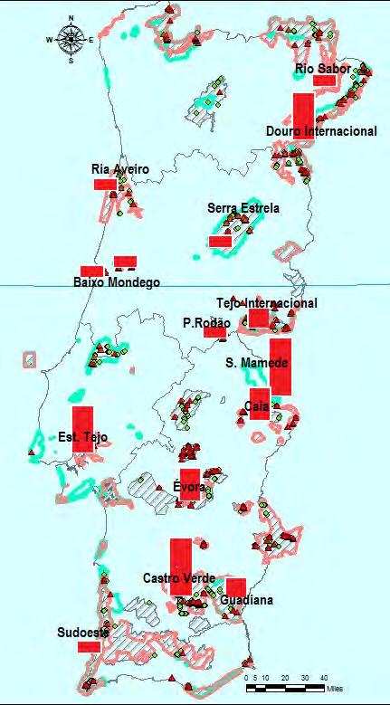 Identificação de pontos negros Douro Internacional Tejo Internacional S.