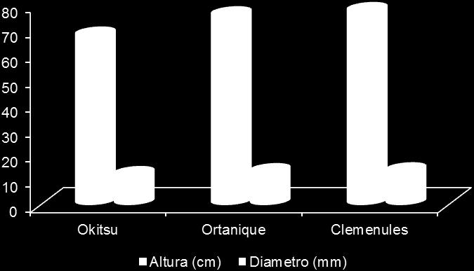 EPAMIG.