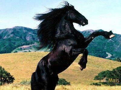 Podemos comparar o relacionamento do Eu com o Id ao do cavaleiro que deve conduzir um cavalo muito mais forte do que ele, com a