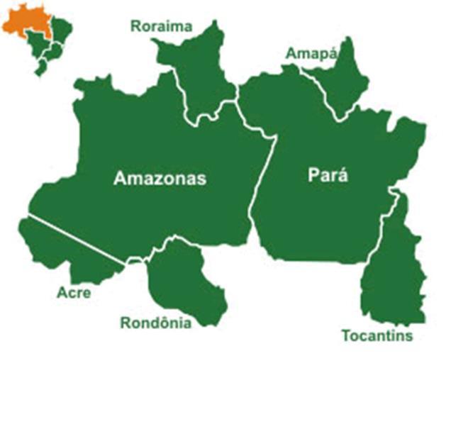 CONHECENDO AS REGIÕES DO BRASIL Região Norte Com uma superficie de 3.853.327 km² a região Norte definida pelo IBGE, corresponde a quase metade do território brasileiro.