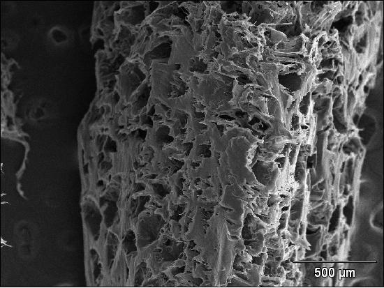 Os poros mostraram dimensões de 177µm a 350µm, além de alguns com 10 µm, devido a evaporação do solvente.