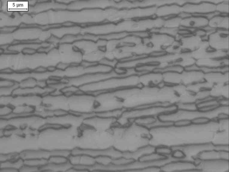 Micrografia 1: Aço inoxidável dúplex UNS S31803 (SAF 2205) solubilizado a 1120 C por 30 minutos, atacado eletroliticamente