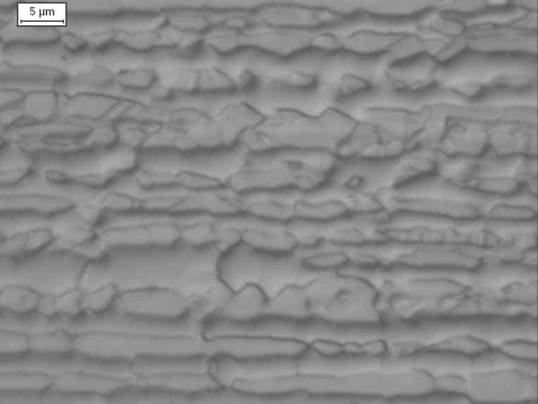 (1000x) Micrografia 4: Aço inoxidável dúplex UNS S31803 (SAF 2205)