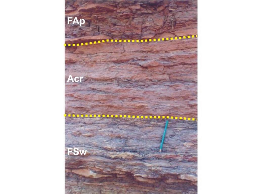 Figura 4.36 Arenito fino a muito fino com climbing ripple intercalado entre níveis de folhelho e siltito, litofácies Acr, seção Cajazeiras, Cajazeiras PI. (Foto Prof. Dr. Joel de Castro Fev./2003). 4.5.