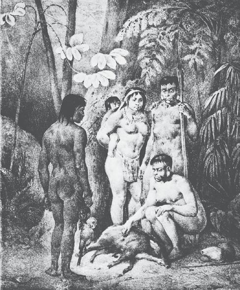 Conhecendo alguns grupos indígenas Observe com atenção a imagem ao lado, que retrata uma família de índios botocudos.