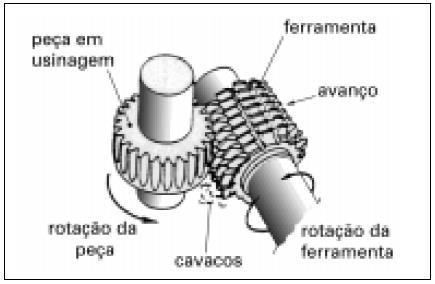 Tipos de