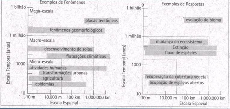 Escalas Função do tipo de planejamento proposto Relação escala x tempo: Fonte: