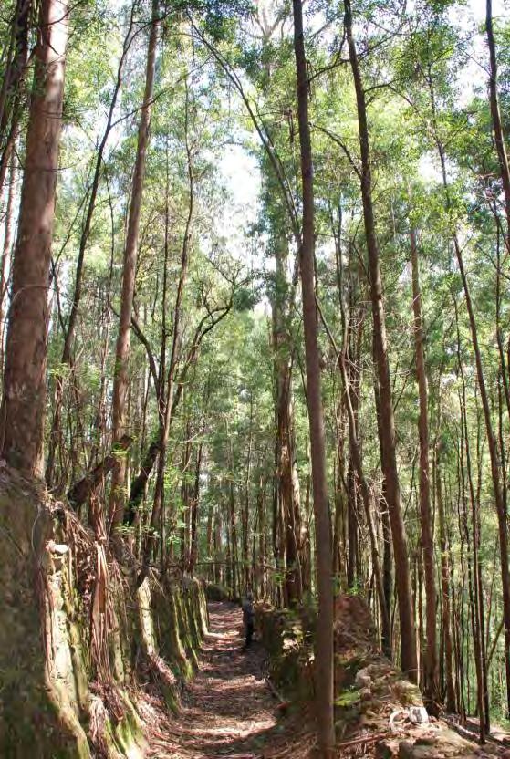 Conservação da Natureza e da