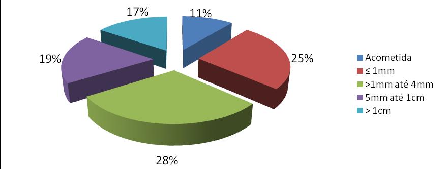 21 Figura 6 Distribuição em valores percentuais em relação à menor distância entre a metástase hepática e a