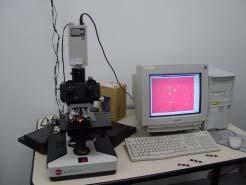 Sistema de análise de imagens Microscópio Leitz - Diaplan Camera CCD