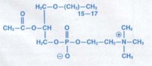 FAP Derivado de fosfolipídios acetil-gliceril-éter-fosforilcolina (AGEPC) São