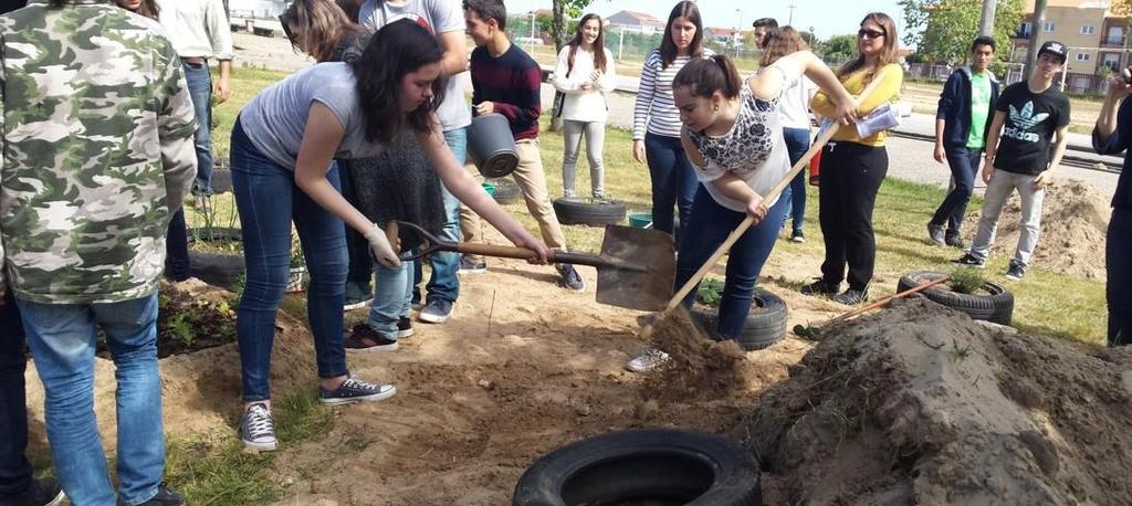 Fazendo planos para a Horta biológica 2014/2015 Como mobilizar os alunos?