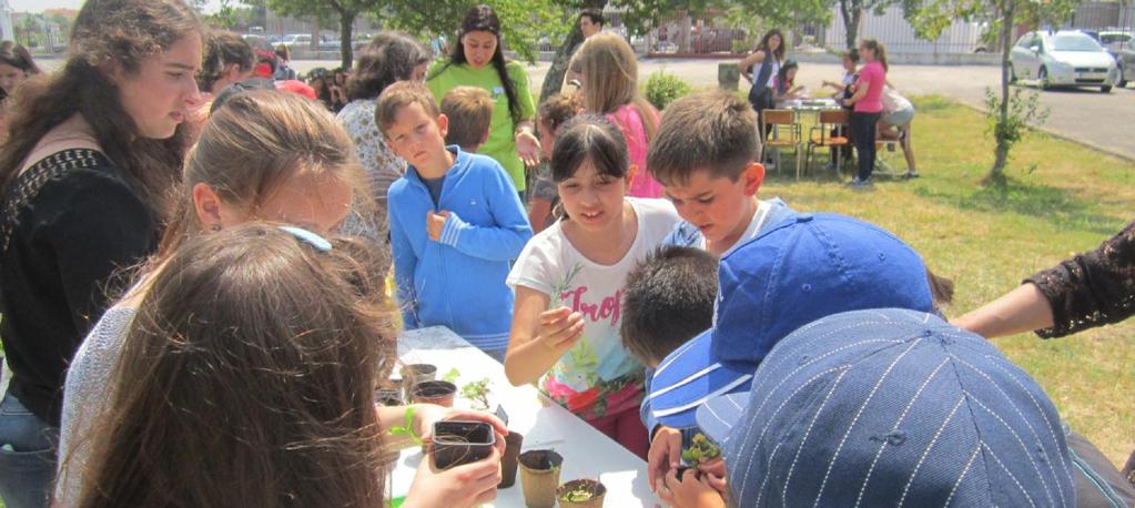 Divulgação da Horta biológica: 2014/2015 Visita à horta dos alunos do 1º e 2º