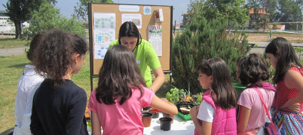 Divulgação da Horta biológica: 2014/2015 Visita à horta dos alunos do 1º e 2º