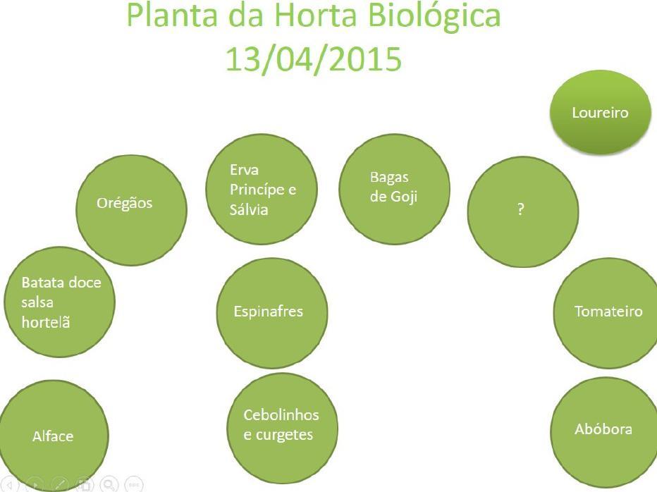 Fazendo planos para a Horta biológica 2014/2015 Projetar o espaço?