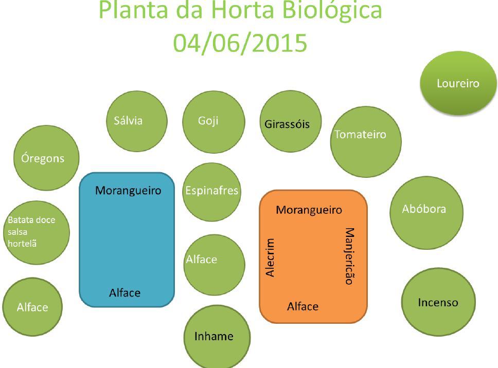 Fazendo planos para a Horta biológica 2014/2015 Projetar o espaço?