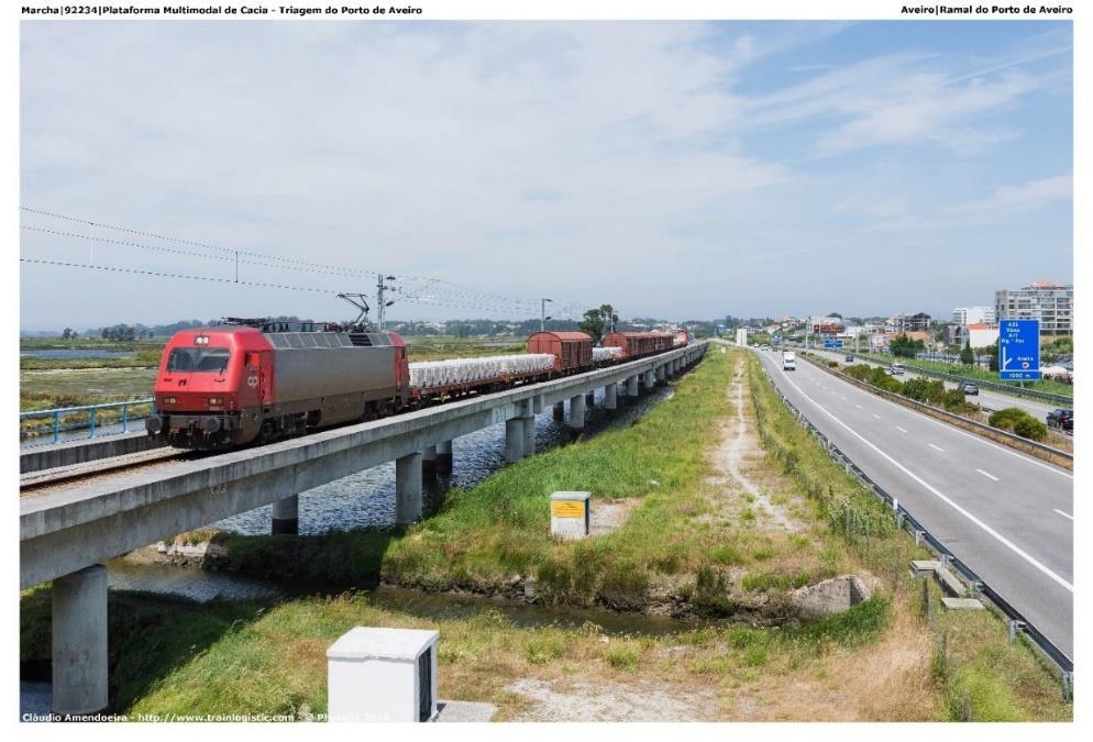 O projecto é constituído por 8,8 kms de linha férrea em via única, com viadutos sobre várias linhas de água, feixes de ligação aos variados terminais do porto e acessos à Plataforma Multimodal de