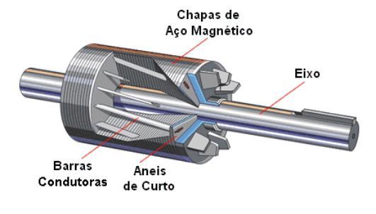 Motor Rotor Gaiola de Esquilo Mais robusto: não possui escovas e comutadores; Não há