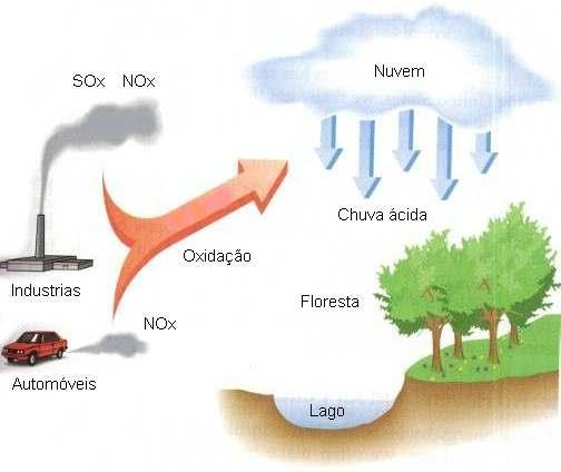 O CICLO DA