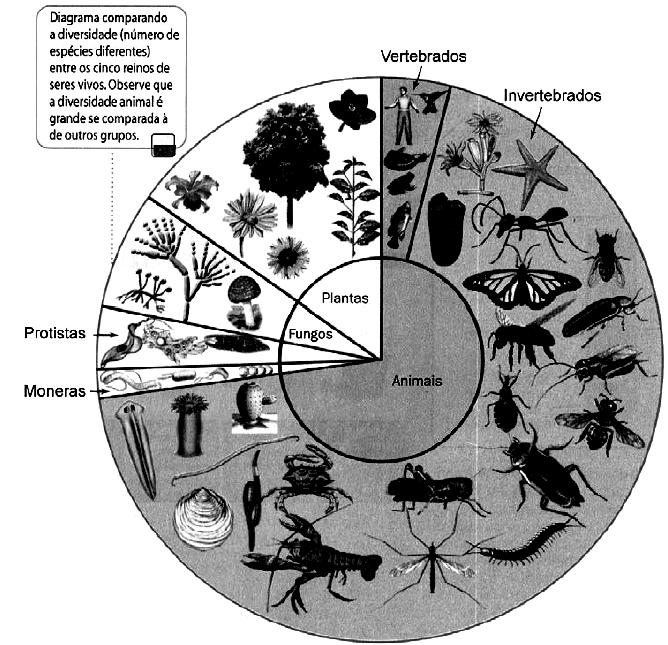 Questão 06) Justifique a maior diversidade de artrópodos entre os animais, relacionando duas aquisições que marcam a evolução do grupo a estratégias de sobrevivência.