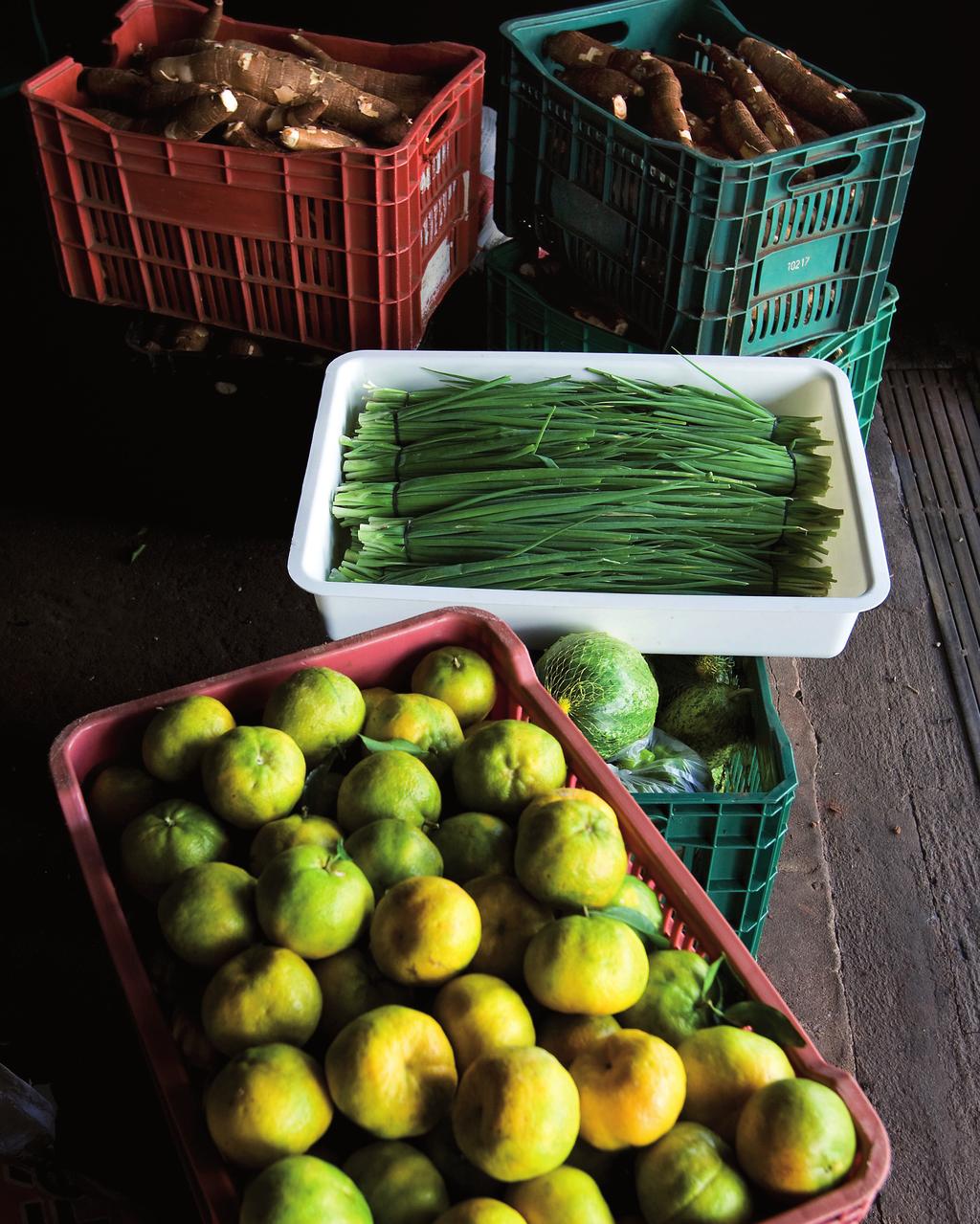 Condicionantes legais e estratégias de governança para a aquisição de produtos da agricultura familiar para a alimentação escolar via o Programa de Aquisição de Alimentos: o caso de Tapes, no Rio