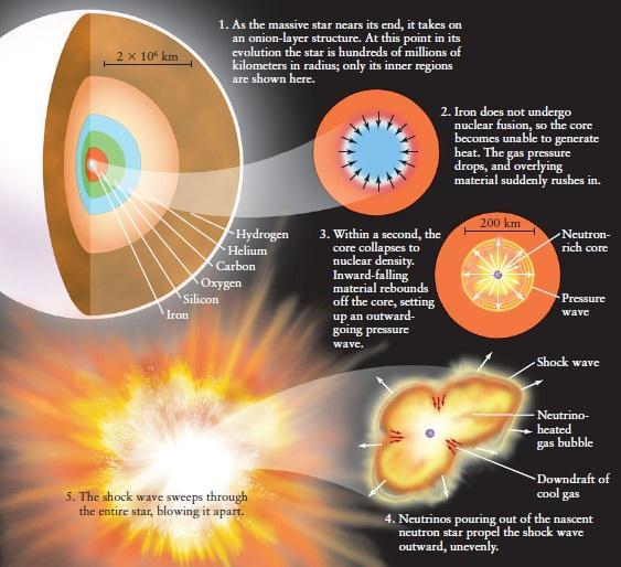 No slide seguinte: colapso de uma estrela de média-alta massa e a formação