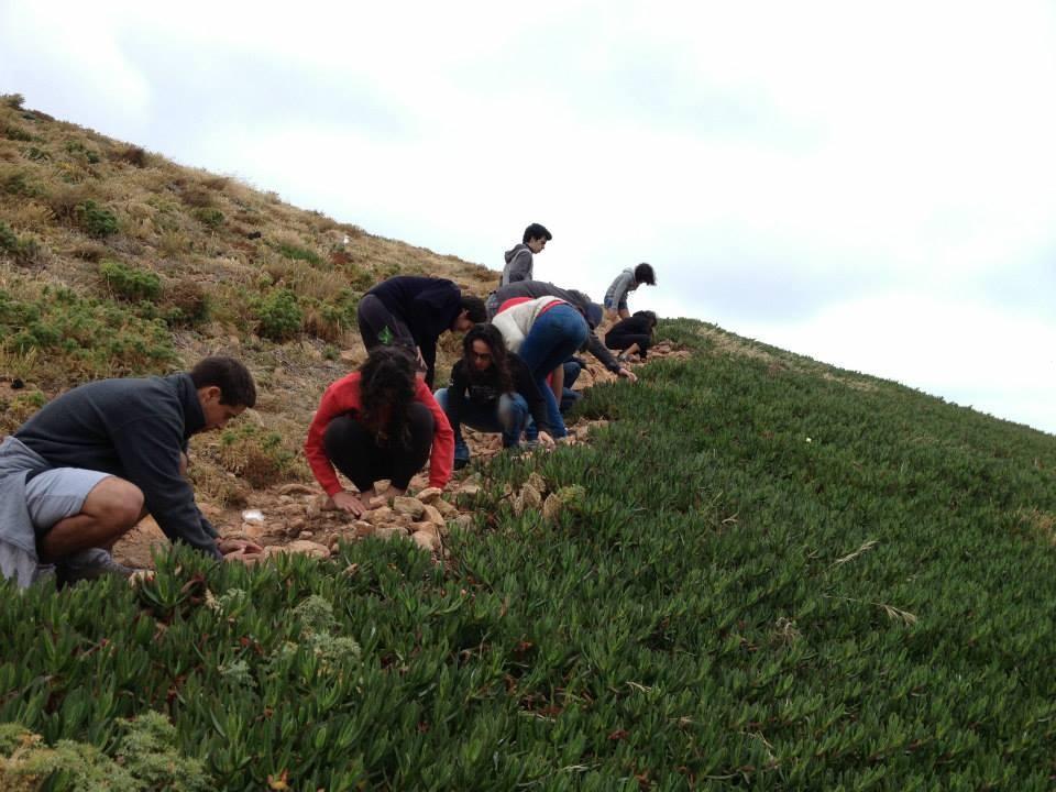 Programa de Voluntariado Ambiental Promovido pela Escola Superior de Turismo e Tecnologia do Mar, Câmara