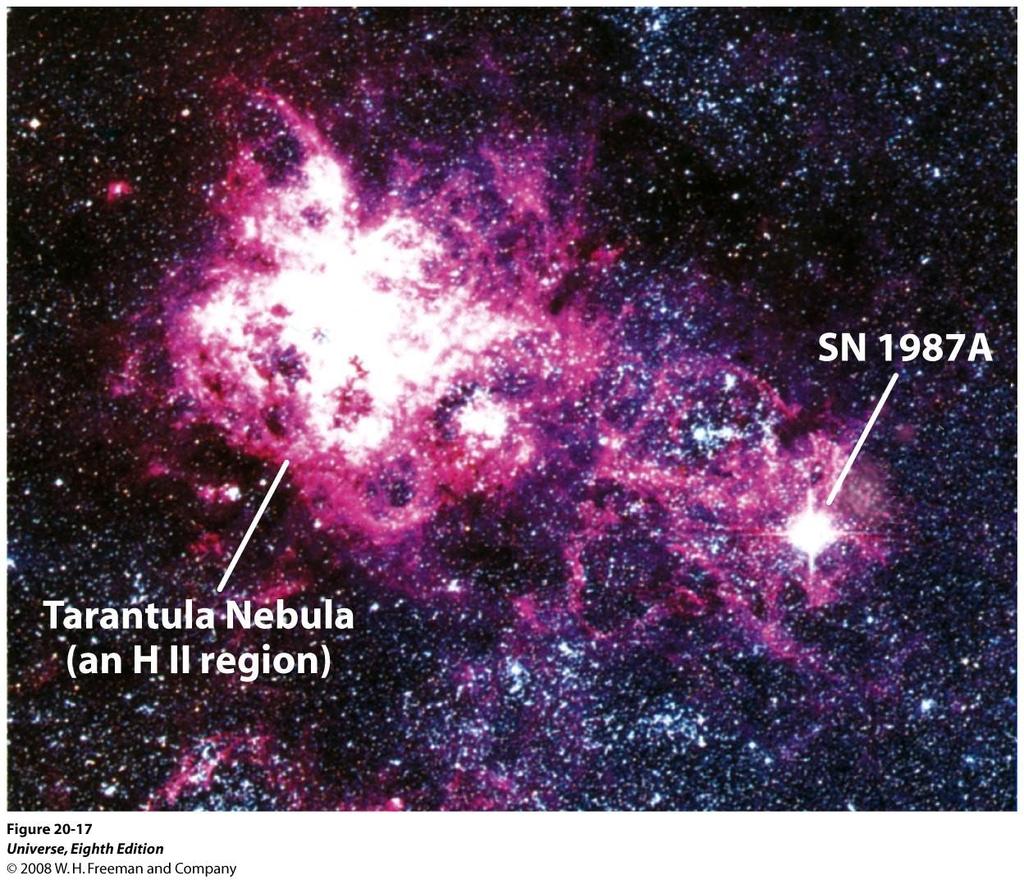 SN 1987A: última supernova visível a olho nu, na Grande Nuvem de Magalhães (vizinha da Via Láctea, a