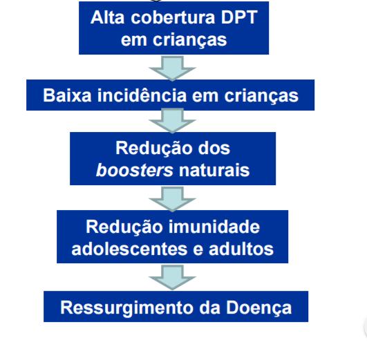 COQUELUCHE Recomendação de utilização da vacina contra a coqueluche, na sua apresentação acelular
