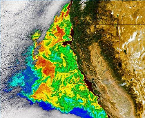 A Cor dos Oceanos Motivação Porque Estudar a Cor dos Oceanos A quantidade de carbono oceânico é aproximadamente igual à terrestre,